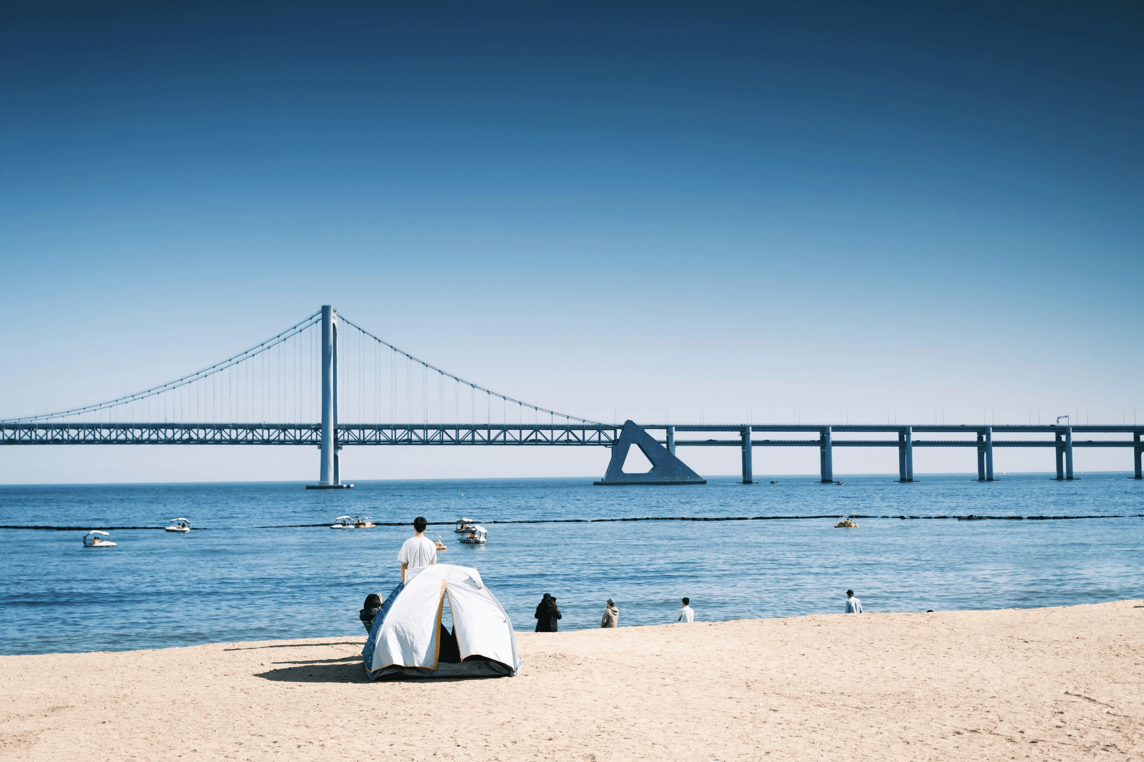 자고가요 회사소개 배경